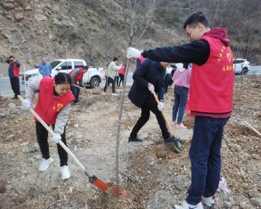 李庙镇开展义务植树活动