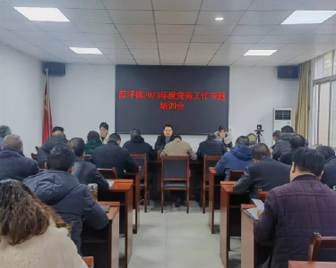 薛坪镇开展党务工作专题培训