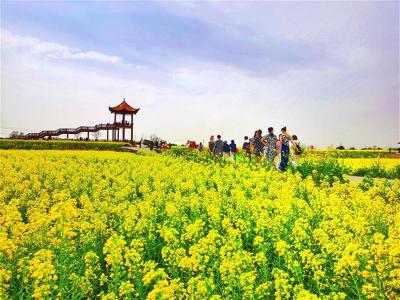 【热点关注】赏花海品特色美食，2023年湖北省油菜花节将在荆门举办