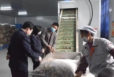 南漳：乡村振兴“税动力” 种出致富“金棒棒”