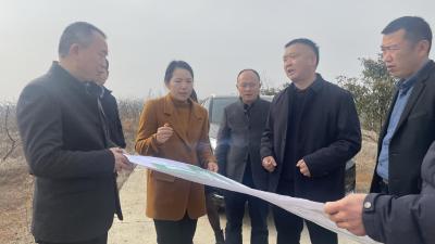 县领导带队调研督办雪鹰航空项目推进工作