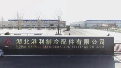 《他山之石可攻玉 比学赶超促发展》专栏——港利精密制冷智造产业基地项目