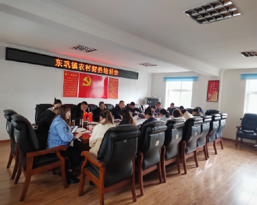 东巩镇财政所：在学思悟践中贯彻落实财会监督