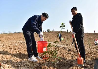 罗兴斌陈栋等县领导带头义务植树，为生态南漳再添新绿