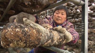 漳视频丨南漳农商行：跨越百亿  再启新程