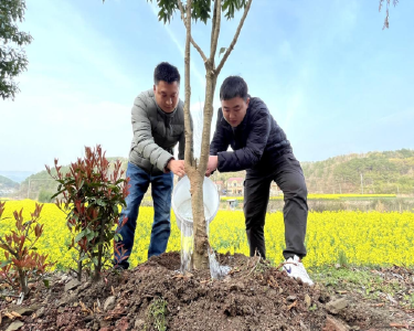 “绿满南漳”我行动