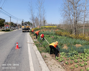 南漳县公路中心全面整治路肩种菜行为