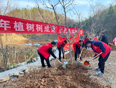 南漳：播种绿色希望 共建幸福家园