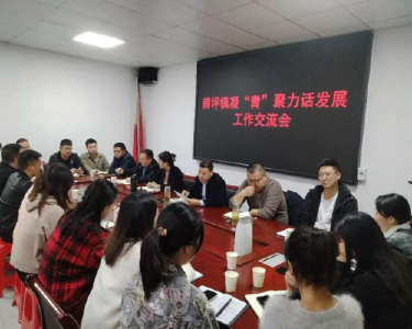 薛坪镇：凝“青”聚力话发展