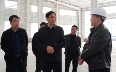 罗兴斌调研重点项目建设时强调：持续优化营商环境提升服务效能，推动民营经济高质量发展