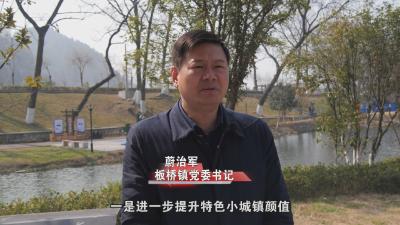 南漳新闻丨板桥镇：做大做强特色产业激发镇域经济发展新活力