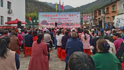 肖堰社区举办庆祝“三八”妇女节文艺演出活动  
