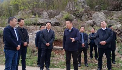 陈栋：出重拳、零容忍，坚决打胜矿产资源综合整治攻坚战 