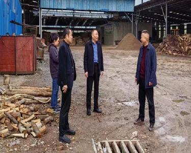 南漳县督导检查疫木加工企业安全利用工作