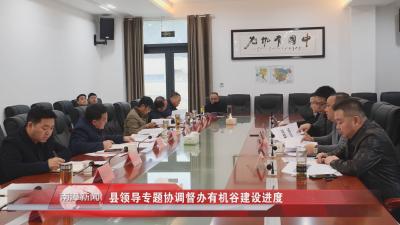南漳新闻丨县领导专题协调督办有机谷建设进度