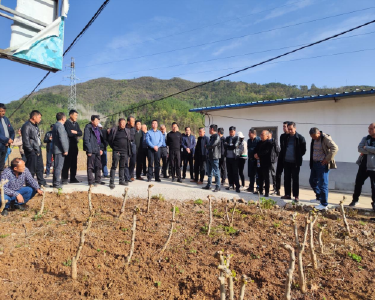 巡检镇：推进驻村帮扶　助力乡村振兴