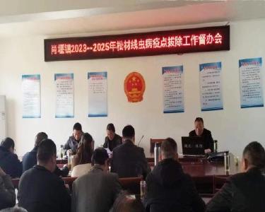 肖堰镇积极督办松材线虫病疫点拔除工作