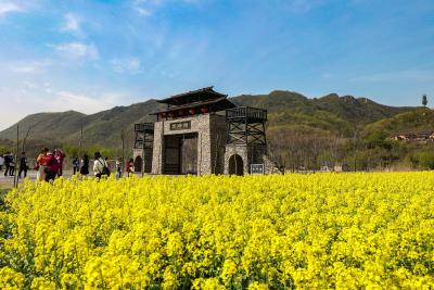 湖北南漳：古寨春盛