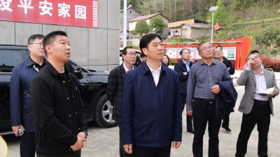 罗兴斌调研深化共同缔造推进党建引领基层治理体制机制创新试点工作时强调：坚决试出实效、水平和经验，奋力争创一流