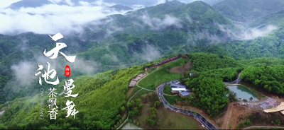 湖北南漳：天池曼舞茶飘香，南漳采茶正当时