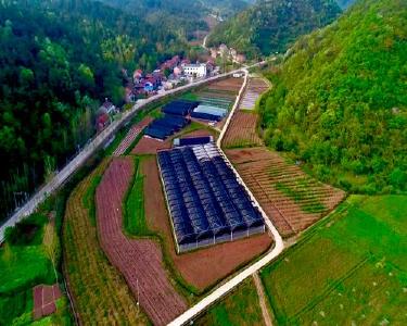 南漳县： 聚焦产业不放松　创业富农促振兴