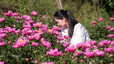 湖北南漳：致富花开石桩河