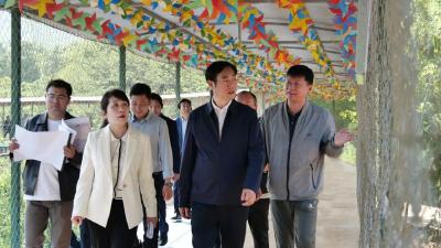 罗兴斌督导重点项目建设时强调：推动项目建设提速提质提效，奋力冲刺“双过半”