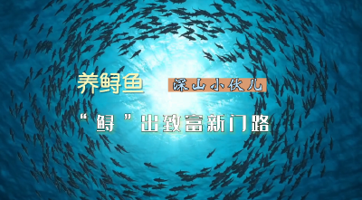 湖北南漳：“鲟”出致富路