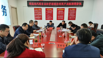 我县加大现代服务业和资源综合利用产业链招商力度