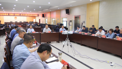 陈栋：高标准编制国土空间总体规划，为全县经济社会高质量发展提供坚实支撑