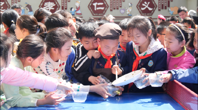 湖北南漳：劳动节学劳动 “小厨师”秀厨艺