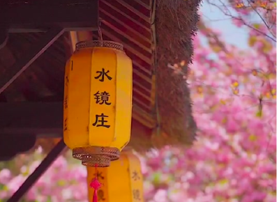 南漳：水镜庄里的樱花开了,浪漫且温暖