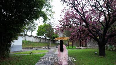 南漳：春风替我告诉你