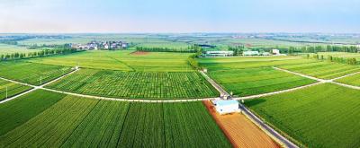 【热点关注】襄州获评全国农业科技现代化先行县