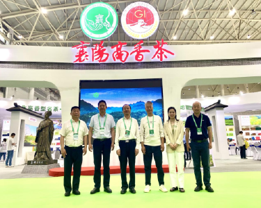 南漳“高香茶”闪耀首届“楚茶论坛”
