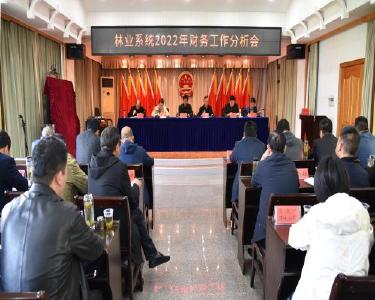 南漳县林业局：开展财务工作分析　夯实清廉建设基础