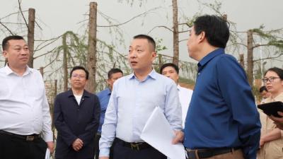 陈栋调研重点项目征迁工作：强举措破难题抓进度，为项目建设提供坚强保障