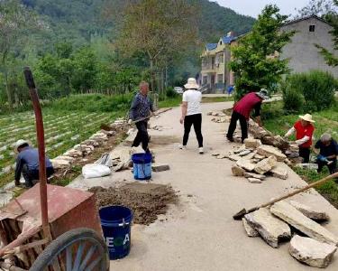 肖堰镇：共同缔造激活乡村自治活力