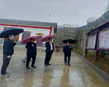 县领导到板桥镇调研指导共同缔造试点工作