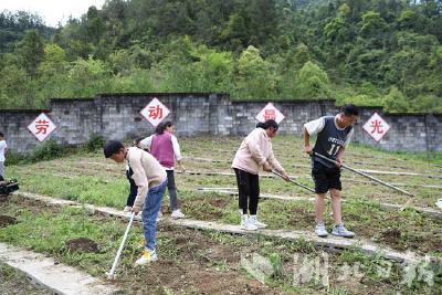 【热点关注】鹤峰：打造“泥土味”十足的劳动教育课