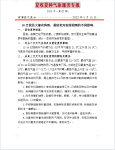 夏收夏种气象服务专报