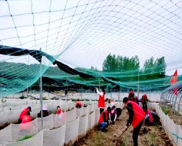 南漳县农技中心：以学促干推动学习贯彻习近平新时代中国特色社会主义思想主题教育走深走实