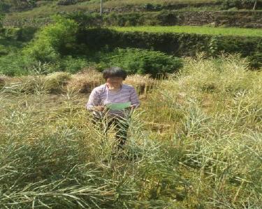 李庙镇深入开展秸秆禁烧禁抛工作