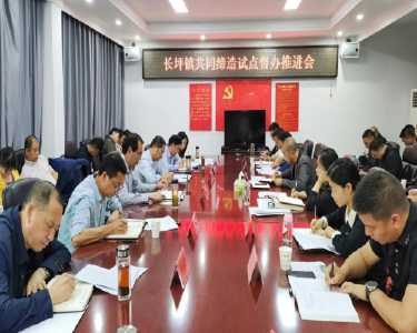 县领导深入长坪镇主持召开共同缔造试点督办推进会