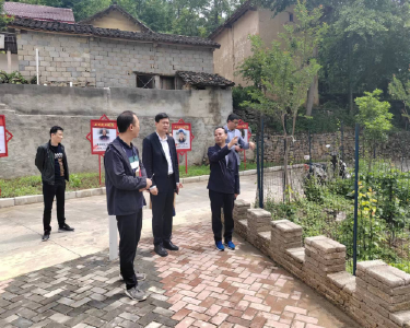 县领导到板桥镇调研督导共同缔造工作