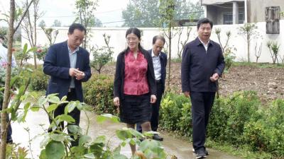 致公党湖北省委员会调研组到我县调研乡村振兴工作 