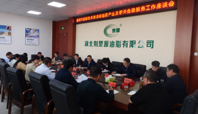 市调研组来我县调研油茶产业及相关金融服务工作              