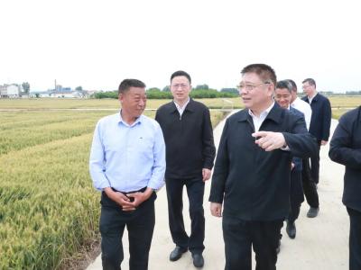 王蒙徽在襄阳调研时强调：更好担起省域副中心城市重任 为先行区建设贡献更大力量 