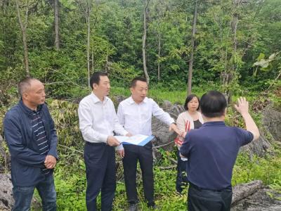陈栋：全力以赴优服务，高质高效推进张家坪抽水蓄能电站项目建设