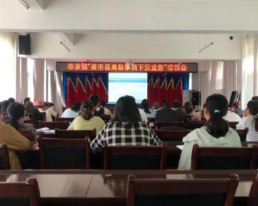 李庙镇举办省市县高频事项下沉业务培训